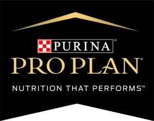 proplan logo-03 - Ribbon NTP tagline